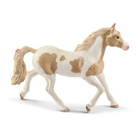  Paint Horse Mare SC13884