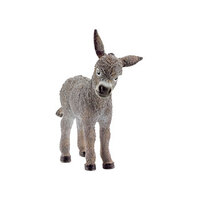 Donkey Foal SC13746