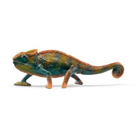 Chameleon SC14858