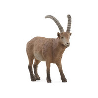 Ibex SC14873