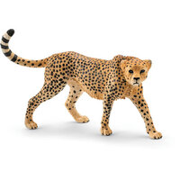 Cheetah Female SC14746