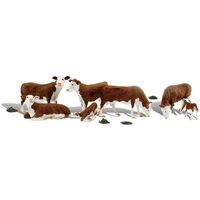 Hereford Cows WS- A1843 