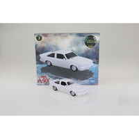 1:24 Plastic Kit A9X Torana Slammed Sealed Body DDA812K