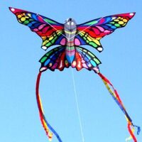 Rainbow Butterfly Single String 7150